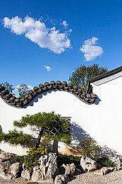 国产《退休模拟器》遭差评轰炸 制造男女对立情绪？